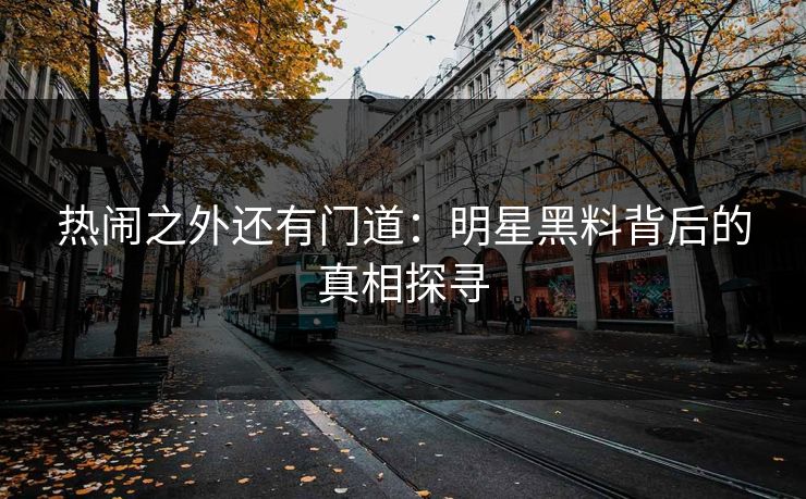 热闹之外还有门道：明星黑料背后的真相探寻
