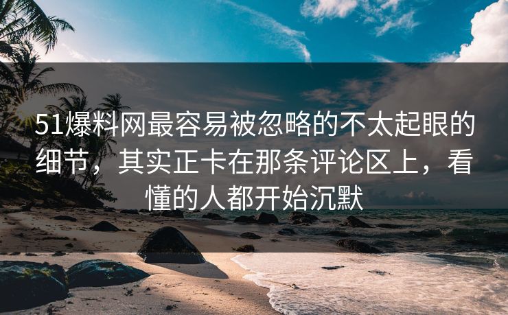 51爆料网最容易被忽略的不太起眼的细节，其实正卡在那条评论区上，看懂的人都开始沉默