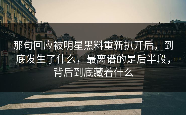 那句回应被明星黑料重新扒开后，到底发生了什么，最离谱的是后半段，背后到底藏着什么