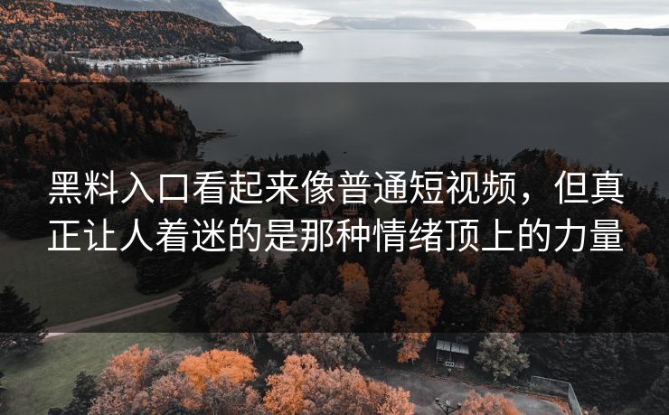 黑料入口看起来像普通短视频，但真正让人着迷的是那种情绪顶上的力量