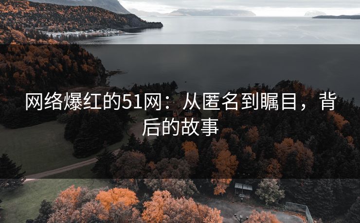 网络爆红的51网：从匿名到瞩目，背后的故事